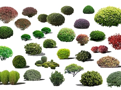 2D绿色植物