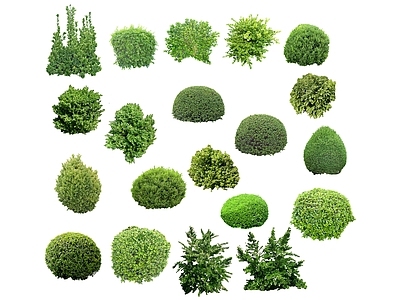 2D绿色植物
