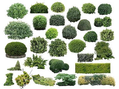 2D绿色植物
