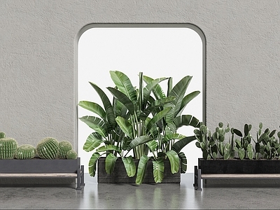 现代藤编椅子座凳绿植盆栽