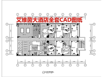 艾维茵大酒店空间 施工图