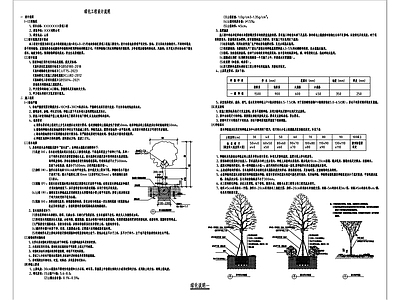 最新绿化种植说明 施工图