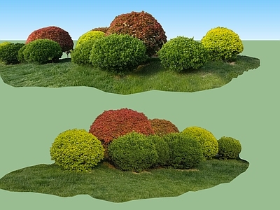 2D绿色植物 灌木