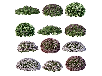 2D绿色植物 大树