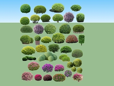 2D绿色植物
