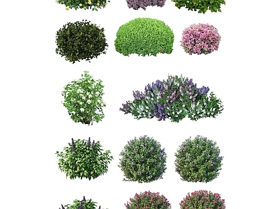 2D植物