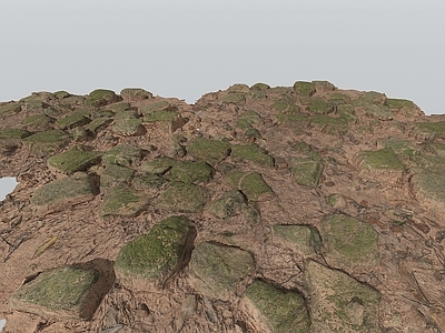 现代地面 石头 石头地面 泥巴地 碎石地面 地表裂纹 地砖 石头路 石块 路面
