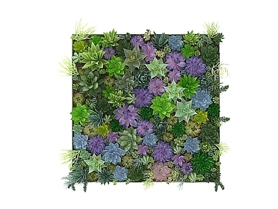 绿植墙