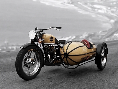 摩托车 Bronzewing sidecar