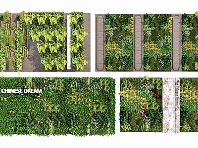 绿植墙 植物墙 垂直绿化 背景墙 绿化墙
