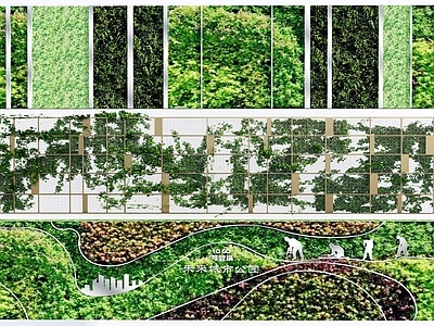 绿植墙 植物墙 垂直绿化 绿植背景墙 绿化墙 绿植