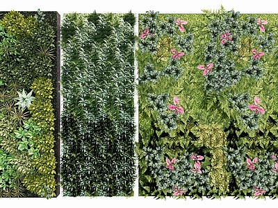 绿植墙 植物墙 垂直绿化 背景墙 绿化墙