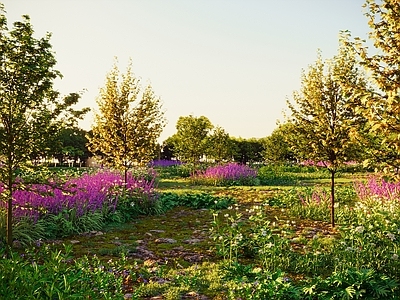 现代公园景观 植物灌木 野草组合 花草 草地 薰衣草 栀子花 树木 旅游景点