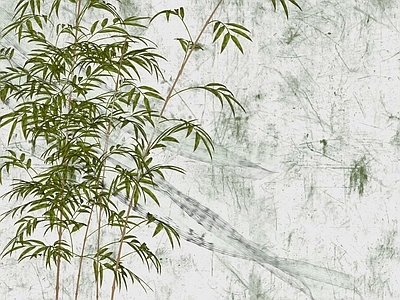 竹子 竹影轻纱