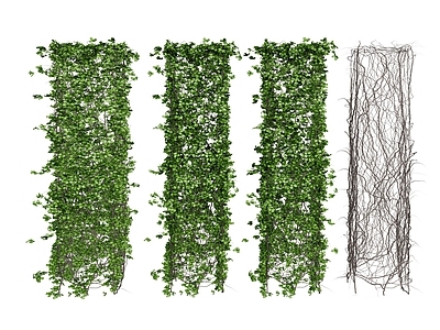 藤本植物绿植 柱子植物