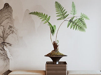 新中式蕨类绿植盆景