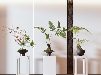 现代绿植盆景组合