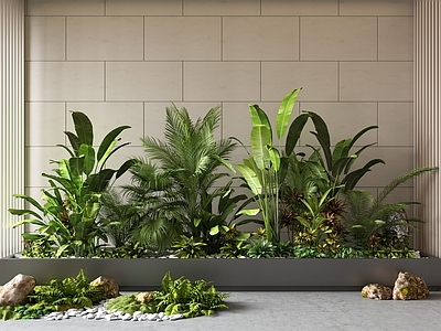 室内景观植物堆