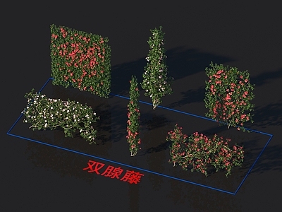绿植墙
