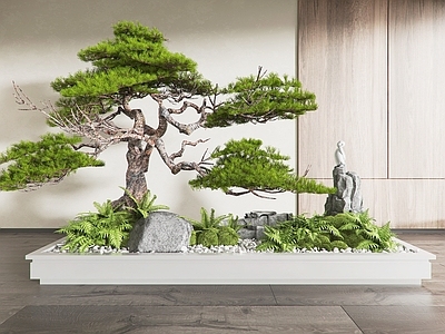 现代植物景观小品 景观松 苔藓 碎石 雕塑摆件 假山石头 蕨类植物