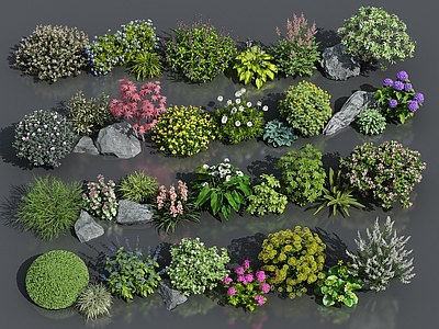 花草组合
