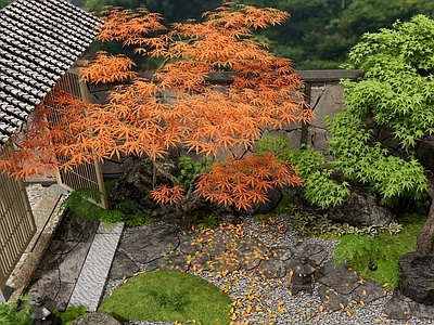 日式乡村庭院花园 庭院门 红枫树 景观石头 汀步石 植物造景