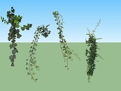 2D绿色植物 藤条树叶