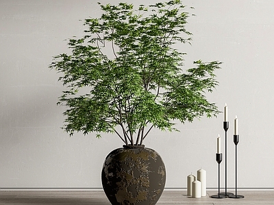 绿植花艺盆栽 植物盆景 烛台 落地