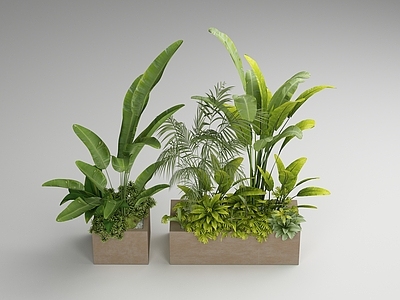 现代花箱 花草 人行道 盆栽