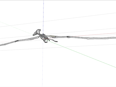 动物翼龙骨架