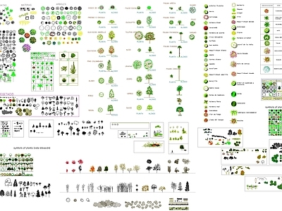 2024炫彩植物图库