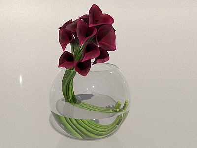 绿植 水培植物 花