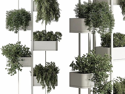 现代花架 植物