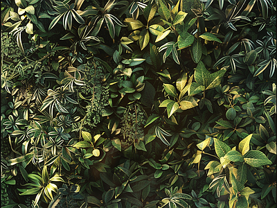 绿植景观墙