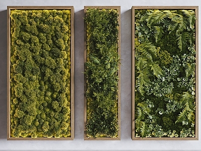 绿植墙