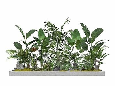 植物组合 植物堆 绿植堆 植物 灌木 绿植 绿化带