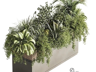 现代植物花箱