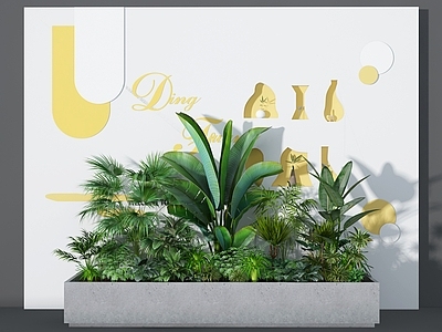 现代花箱