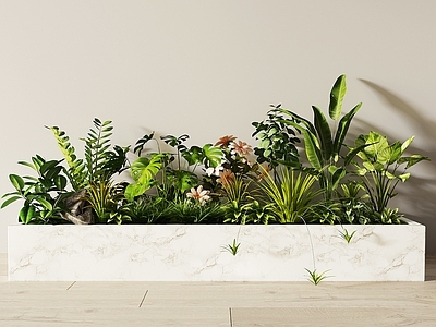 现代花箱 植物