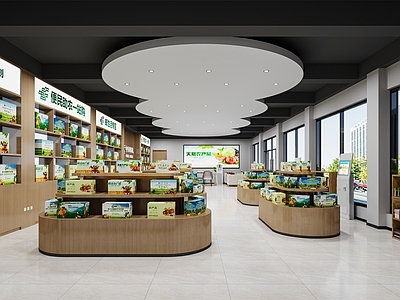 现代商业空间 农产品特产店