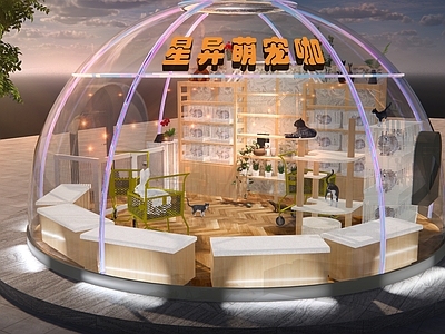 现代球形星空萌宠店