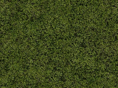 无缝草坪植物墙