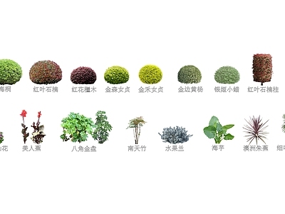 2D常用灌木球 花