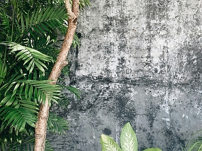 绿植老旧水泥肌理植物墙