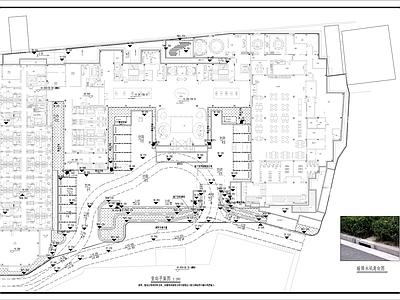 商业庭院景观园建植物 施工图