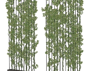 爬山虎藤曼 植物墙