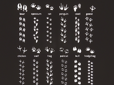现代2D动物脚印猫狗鸟家禽爪子黑白剪影