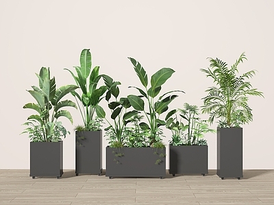现代花箱 植物 堆