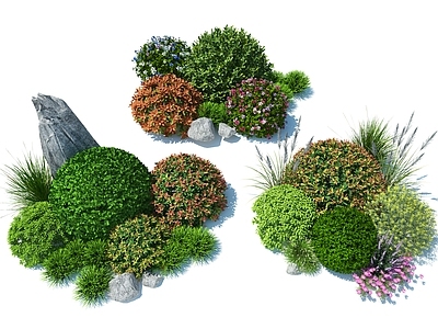灌木球 组合 花卉组合 花草 园林造景 搭配