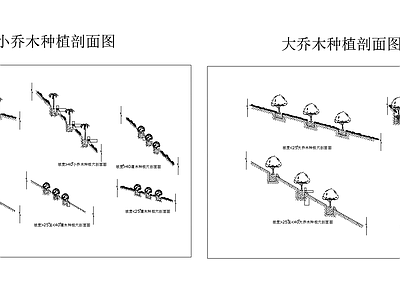 大小乔木种植剖面图 施工图